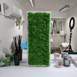 Tablou cu licheni 70x30 cm