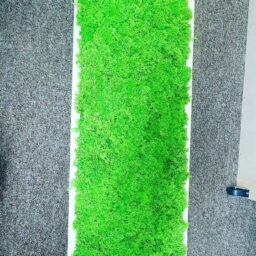 Tablou cu licheni 70x30 cm