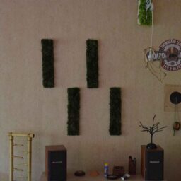 Tablouri din licheni 50x15 cm SET