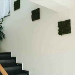 Tablouri din licheni 30x30 cm SET