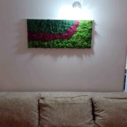 Tablou cu licheni 70x30 cm