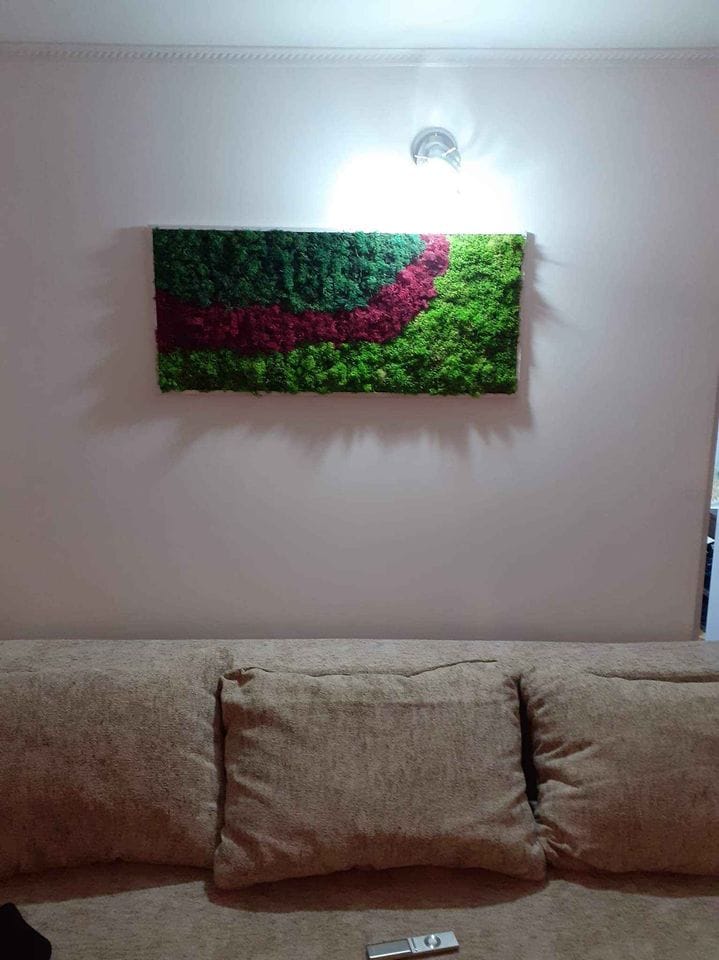 Tablou cu licheni 70x30 cm