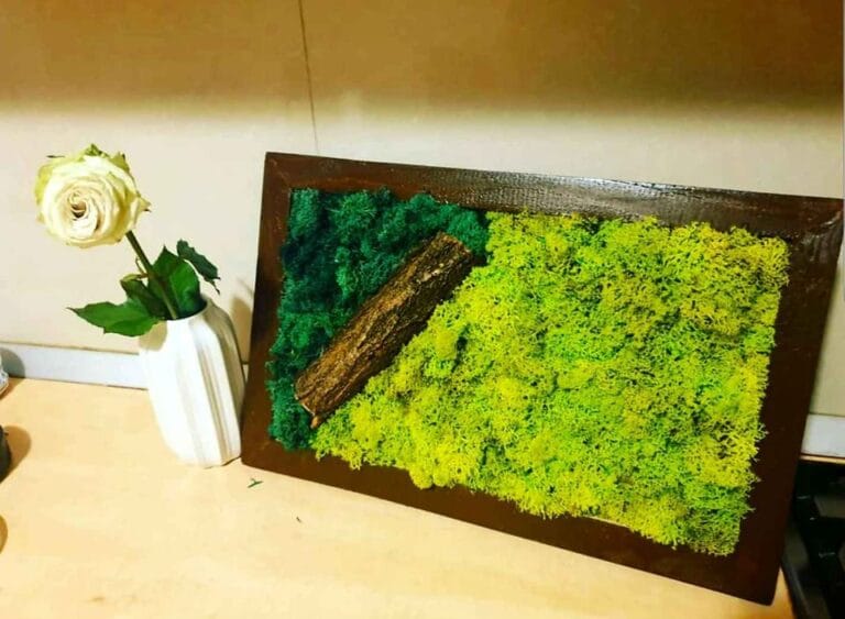 Tablou cu licheni 40x30 cm