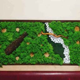 tablou cu licheni tablou din licheni tablouri cu licheni tablouri din licheni