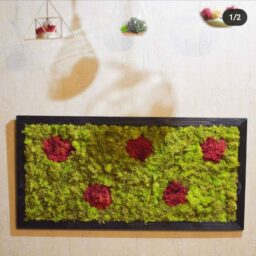 Tablou cu licheni 40x30 cm