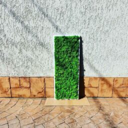 Tablou cu licheni 70x30 cm