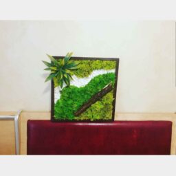 Tablou din licheni 30x30 cm