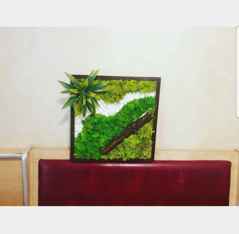 Tablou din licheni 30x30 cm