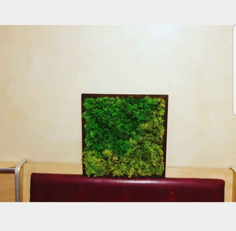 Tablou cu licheni 30x30 cm