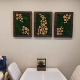 Tablouri cu licheni 40x30 cm SET