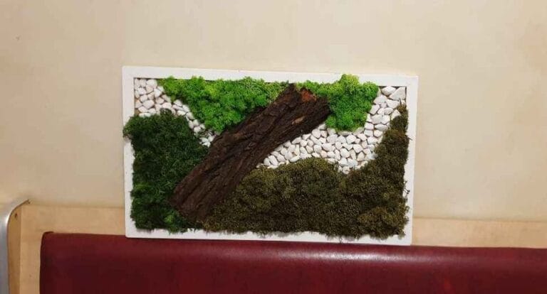 Tablou din licheni 40x20 cm