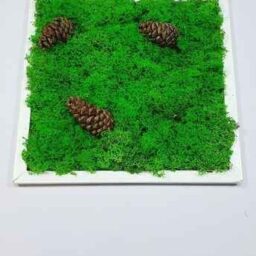 Tablou cu licheni 30X30 cm