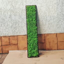 tablou cu licheni tablou din licheni tablouri cu licheni tablouri din licheni