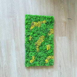 Tablou cu licheni 60x40 cm