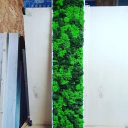 tablou cu licheni tablou din licheni tablouri cu licheni tablouri din licheni