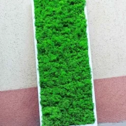 tablou cu licheni tablou din licheni tablouri cu licheni tablouri din licheni