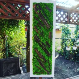 tablou cu licheni tablou din licheni tablouri cu licheni tablouri din licheni