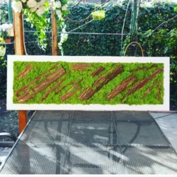 tablou cu licheni tablou din licheni tablouri cu licheni tablouri din licheni