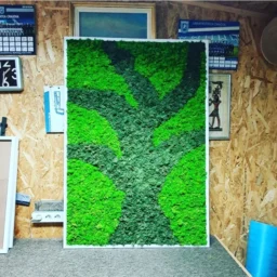 tablou cu licheni tablou din licheni tablouri cu licheni tablouri din licheni