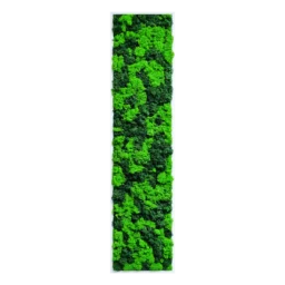 Panou vertical cu licheni verde deschis și închis și ramă albă, 100x30 cm, vedere frontală