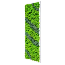 Panou vertical cu licheni verzi, benzi diagonale gri-verzi și ramă albă, 100x30 cm, vedere din dreapta