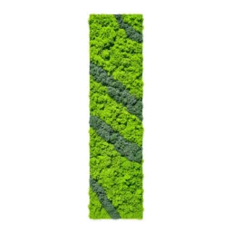 Panou vertical cu licheni verzi, benzi diagonale gri-verzi și ramă albă, 100x30 cm, vedere frontală