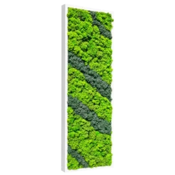Panou vertical cu licheni verzi, benzi diagonale gri-verzi și ramă albă, 100x30 cm, vedere din stânga