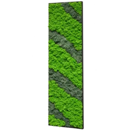 Panou vertical cu licheni verde intens și benzi diagonale gri-verzi, 100x30 cm, vedere din dreapta