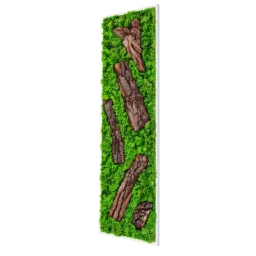 Panou vertical cu licheni verzi și cinci bucăți de scoarță naturală pe suport alb, 100x30 cm, vedere din dreapta