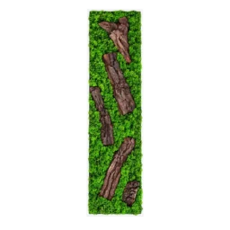 Panou vertical cu licheni verzi și cinci bucăți de scoarță naturală pe suport alb, 100x30 cm, vedere frontală