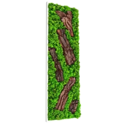 Panou vertical cu licheni verzi și cinci bucăți de scoarță naturală pe suport alb, 100x30 cm, vedere din stânga