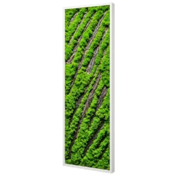 Panou vertical cu licheni verzi, scoarță diagonală și ramă albă, 100x30 cm, vedere din dreapta