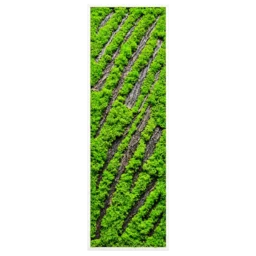 Panou vertical cu licheni verzi, scoarță diagonală și ramă albă, 100x30 cm, vedere frontală