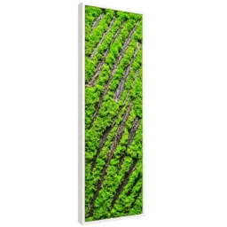 Panou vertical cu licheni verzi, scoarță diagonală și ramă albă, 100x30 cm, vedere din stânga