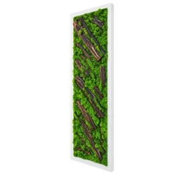 Panou vertical cu licheni verzi, scoarță naturală și ramă albă, 100x30 cm, vedere din dreapta