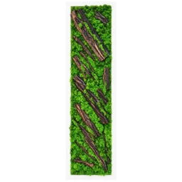 Panou vertical cu licheni verzi, scoarță naturală și ramă albă, 100x30 cm, vedere frontală