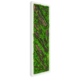 Panou vertical cu licheni verzi, scoarță naturală și ramă albă, 100x30 cm, vedere din stânga