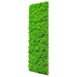 Panou vertical cu licheni verde intens pe suport alb subțire, 100x30 cm, vedere din dreapta