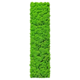 Panou vertical cu licheni verde intens pe suport alb subțire, 100x30 cm, vedere frontală