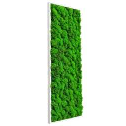 Panou vertical cu licheni verde uniform și ramă albă, 100x30 cm, vedere din dreapta