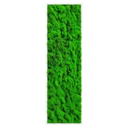 Panou vertical cu licheni verde uniform și ramă albă, 100x30 cm, vedere frontală