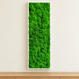 Panou vertical cu licheni verde uniform și ramă albă, 100x30 cm, vedere pe perete