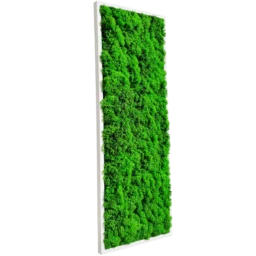 Panou vertical cu licheni verde uniform și ramă albă, 100x30 cm, vedere din stânga