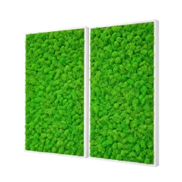 Set de două panouri verticale cu licheni verzi și rame albe, 100x80 cm, vedere din dreapta