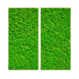 Set de două panouri verticale cu licheni verzi și rame albe, 100x80 cm, vedere frontală
