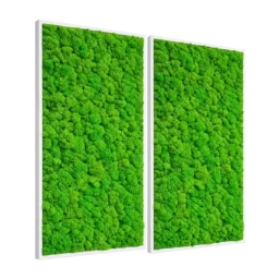 Set de două panouri verticale cu licheni verzi și rame albe, 100x80 cm, vedere din stânga