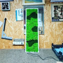 tablou cu licheni tablou din licheni tablouri cu licheni tablouri din licheni