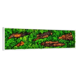 Tablou orizontal cu licheni verzi, cinci bucăți de scoarță și ramă albă, 100x30 cm, vedere din stânga
