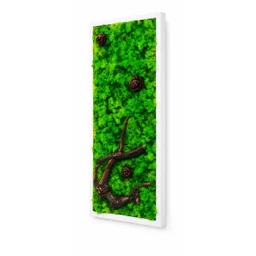 Tablou vertical cu licheni verzi, trei conuri și ramură decorativă, 70×30 cm, ramă albă – vedere din dreapta