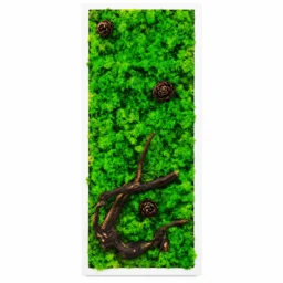 Tablou vertical cu licheni verzi, trei conuri și ramură decorativă, 70×30 cm, ramă albă – vedere frontală